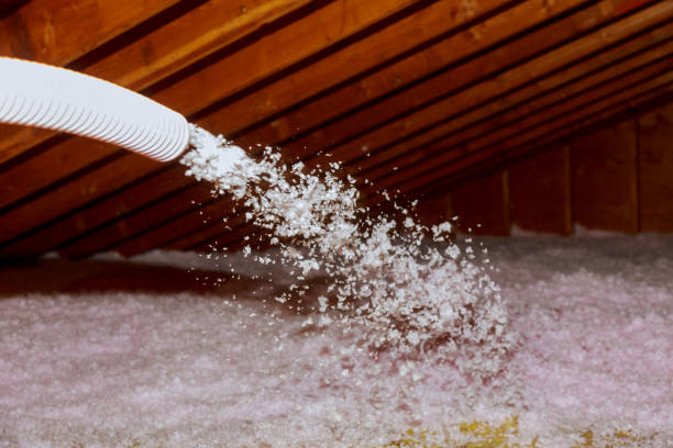 Best Home Insulation Services  in South Plainfield, NJ